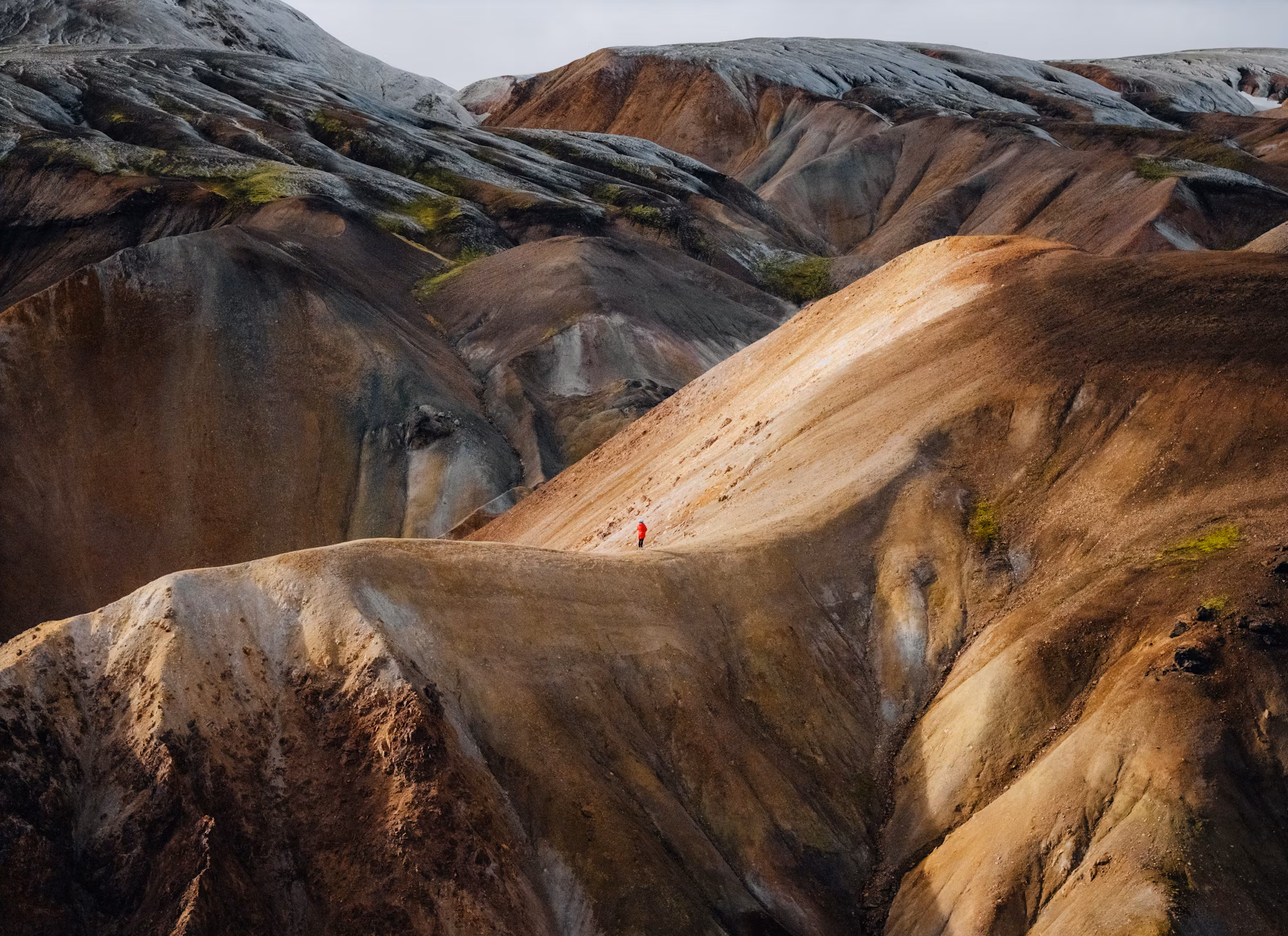 Exploring the Thrills of Off-Roading: Your Path to Adventure